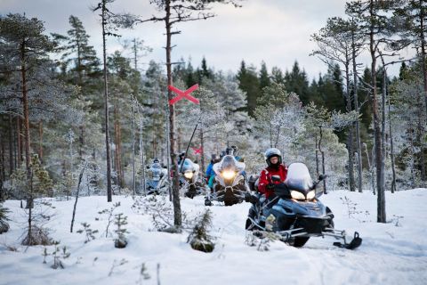 Rovaniemi: sneeuwscooter, rendieren en husky's