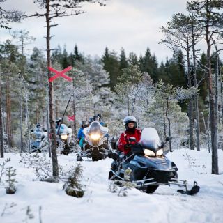 Rovaniemi: safari in motoslitta e allevamento renne e husky