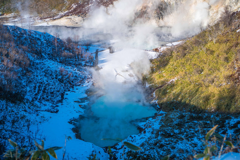 Excursión al mirador del estanque termal de Oyunuma