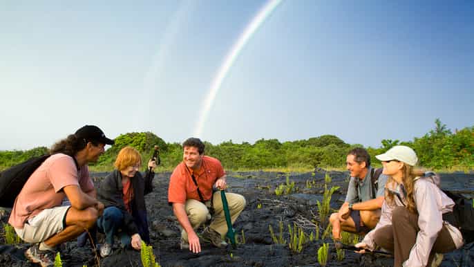 from kona and waikoloa intimate volcano discovery tour