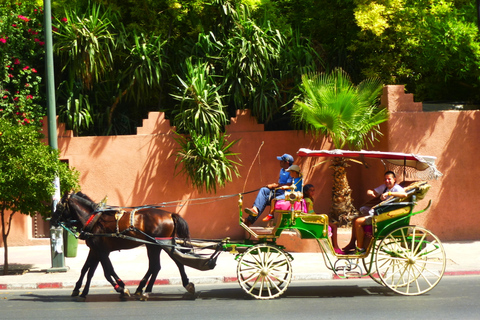 Majorelle Garden &amp; Menara Garden Tour &amp; Carriage RideMarrakech: Majorelle- och Menara-trädgårdarna: rundtur och vagnsresa