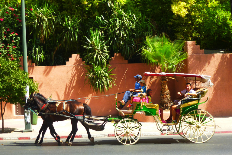 Marrakesz: Majorelle & Menara Gardens Tour & Carriage Ride