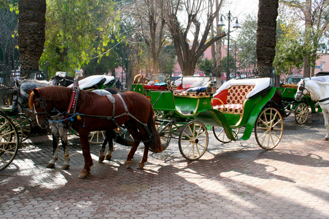 Majorelle Garden &amp; Menara Garden Tour &amp; Carriage RideMarrakech: Majorelle- och Menara-trädgårdarna: rundtur och vagnsresa