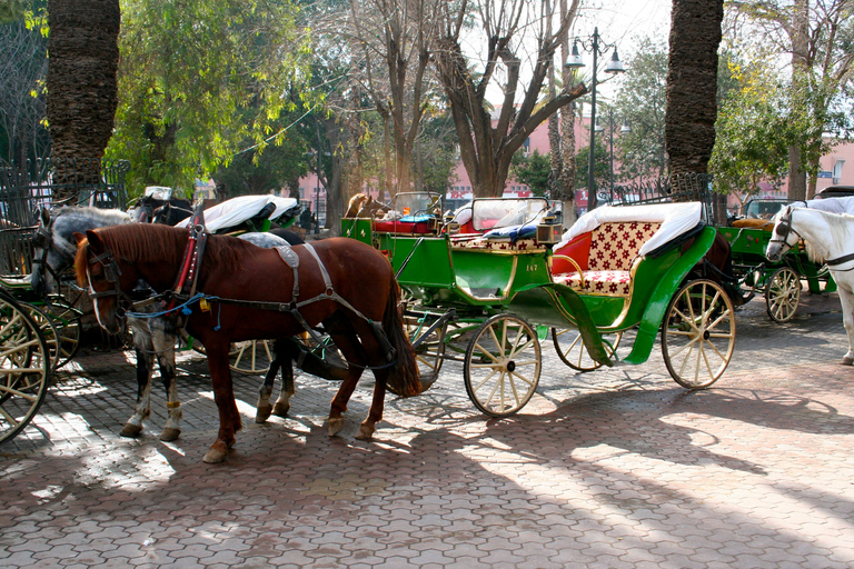 Marrakesz: Majorelle & Menara Gardens Tour & Carriage Ride