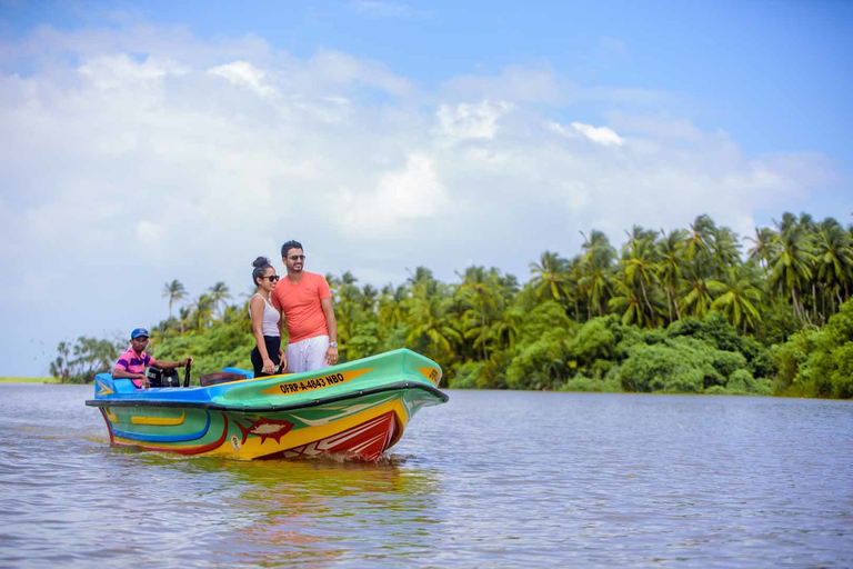 Au départ de Negombo : Visite d'une jounée à BentotaDe Negombo: visite d'une journée à Bentota