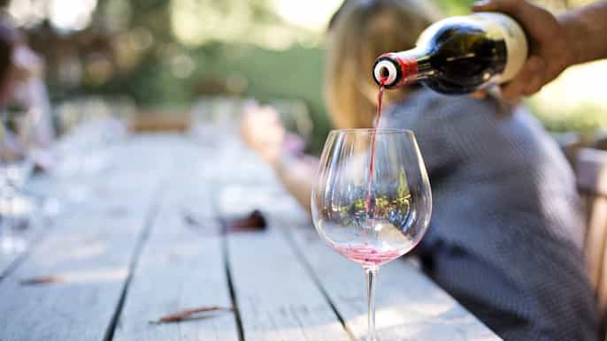 capetown winelands shared halfday tour with local guide