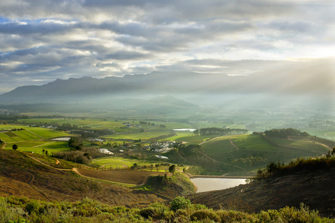 Capetown Winelands Half Day Tour with Local GuideMorning Tour in English, French, or German