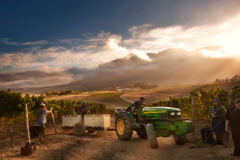 Excursion d&#039;une demi-journée à Capetown Winelands avec guide local