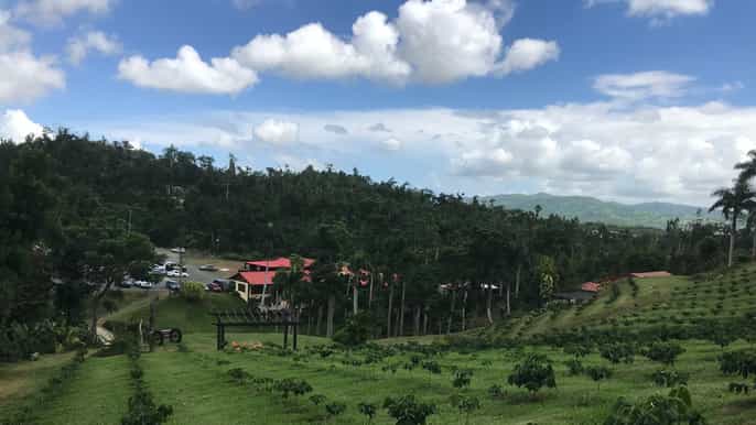 san juan countryside foodie tour with carite rainforest