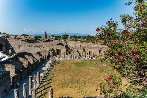 Pompeji: Rundvisning i den arkæologiske park med køen over