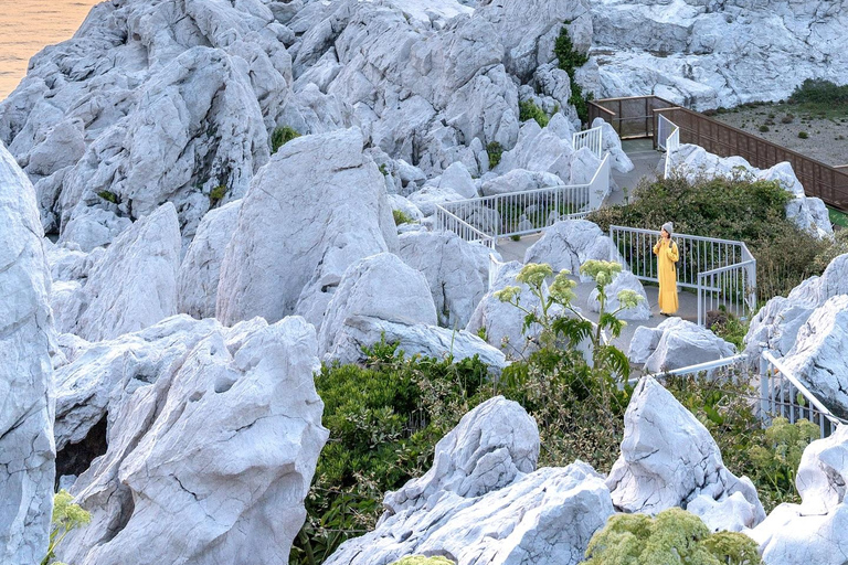 Wakayama: Hidden Coastal Nature & Sunset Tour From Osaka