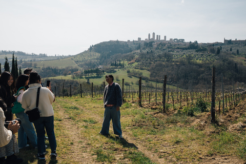 Florencia: experiencia en Pisa, Siena, San Gimignano y ChiantiTour privado con guía, almuerzo, cata de vinos y traslados