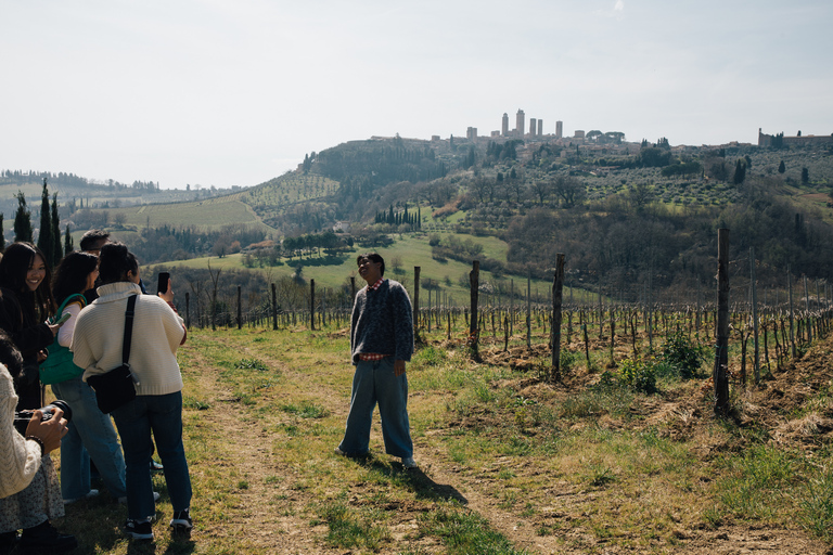 Florence: Expérience de Pise, Sienne, San Gimignano et ChiantiTour en espagnol