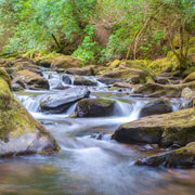 Killarney Walking Tour with a Local