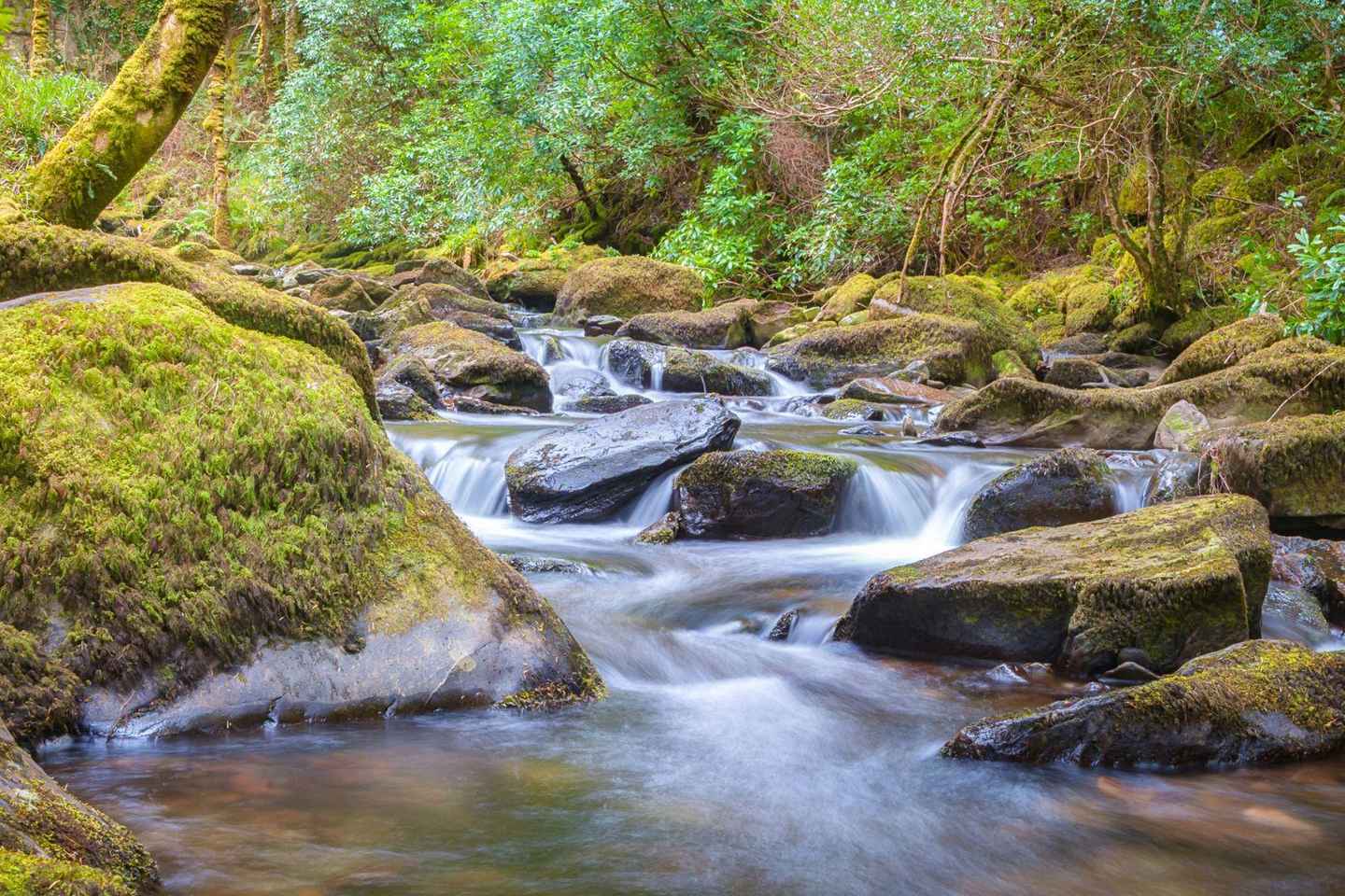 Killarney Walking Tour with a Local - 2 Hour Private Walking Tour
