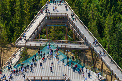 Zakopane Snowmobile, Quad or Buggy Ride & Treetop Skywalk Snowmobile, Quad or Buggy Ride & Skywalk (No Rental)