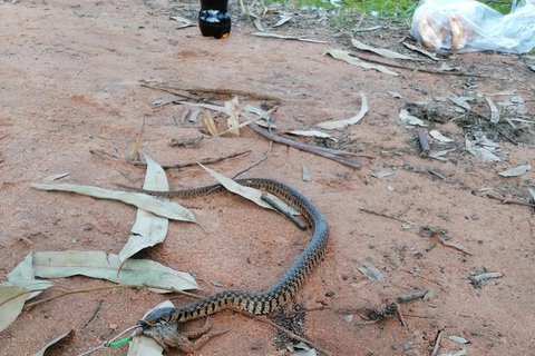 Siem Reap: pesca nelle risaie, nei villaggi di Siem Reap