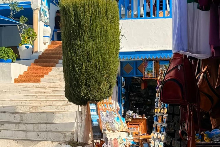 Tunis VIP Tour: Comfort, Fun & Best Value All-in-One !! Tunis : WITHOUT Pick-Up WITHOUT inclusions (Not Recommended)