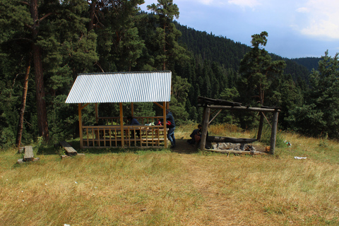 博尔若米国家公园：2天徒步 - 罗米山博尔若米国家公园：2 日徒步之旅（洛米山）