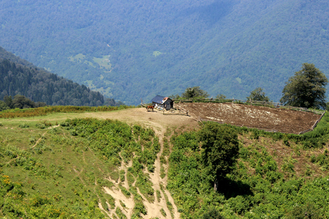 博尔若米国家公园：2天徒步 - 罗米山博尔若米国家公园：2 日徒步之旅（洛米山）