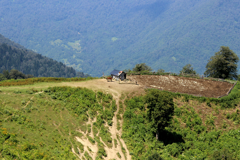 博尔若米国家公园：2天徒步 - 罗米山博尔若米国家公园：2 日徒步之旅（洛米山）