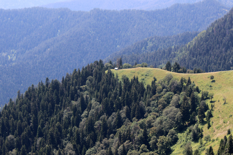 博尔若米国家公园：2天徒步 - 罗米山博尔若米国家公园：2 日徒步之旅（洛米山）