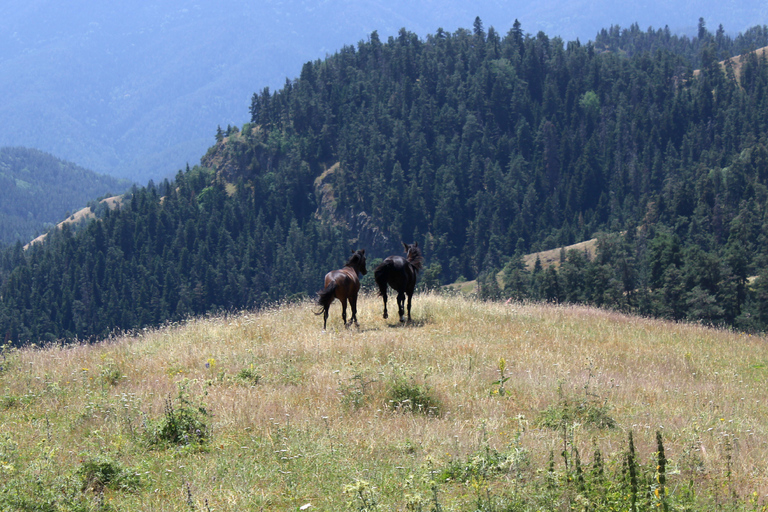 博尔若米国家公园：2天徒步 - 罗米山博尔若米国家公园：2 日徒步之旅（洛米山）