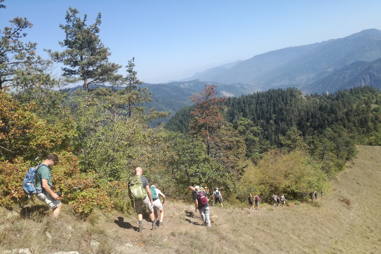 博尔若米国家公园：2天徒步 - 罗米山博尔若米国家公园：2 日徒步之旅（洛米山）