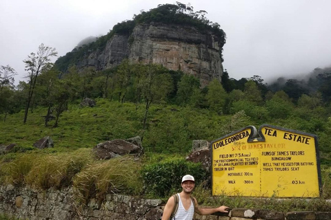 Kandy: Sir James Taylor’s Loolkandura Tea Heritage Hike