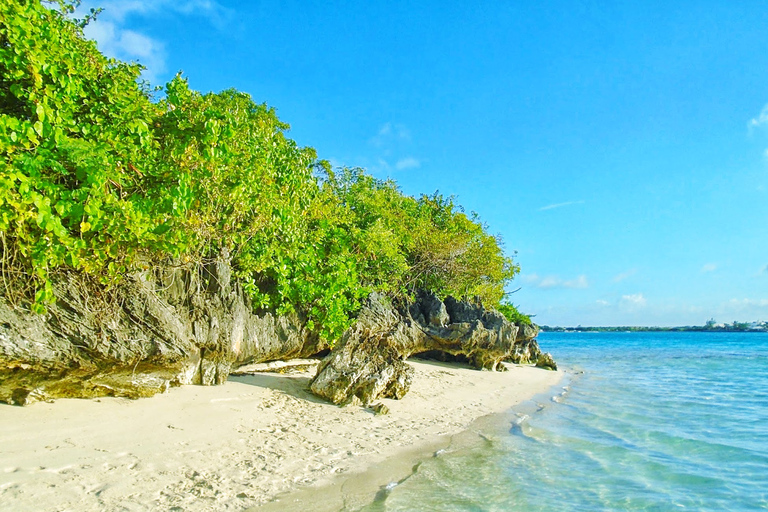 Eco Tour Inc. Ile aux Aigrettes Reserve i La Vanille Park