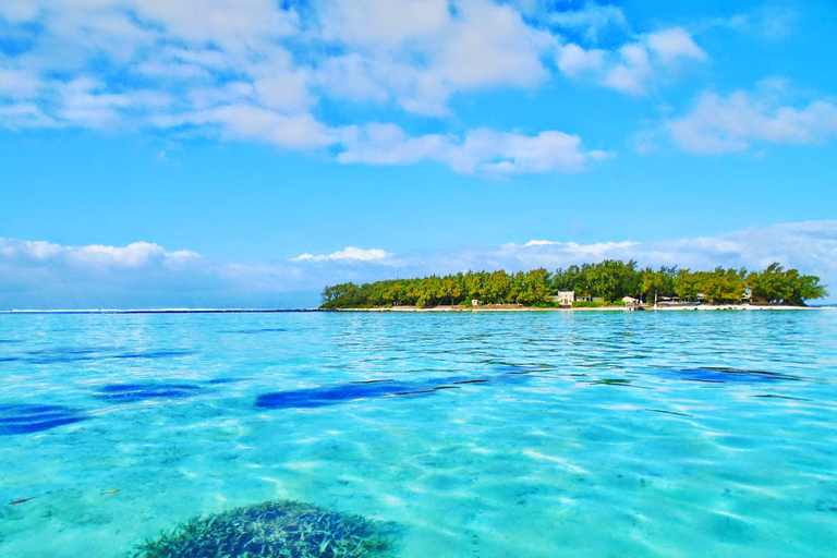 Eco Tour Inc. Ile aux Aigrettes Reserve i La Vanille Park