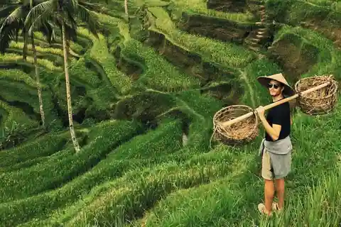 Ubud:private tour riceterace&swing waterfall& tirta empul