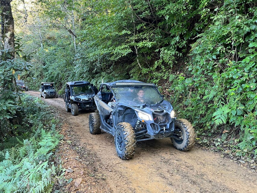 Batumi: Mtirala ATV, Buggy Maverick Horse Riding Trip GetYourGuide