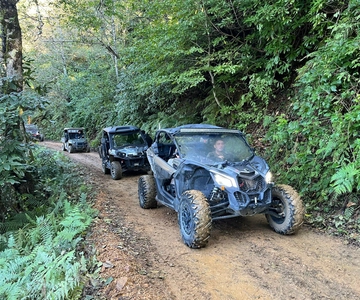 Batumi: Viaggio d'avventura in ATV, Buggy e a cavallo a Mtirala