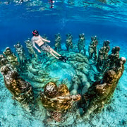 From Gili Meno: Private & Group Gili Islands Snorkeling