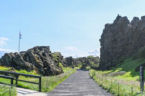 Ganztägige Walbeobachtung & Golden Circle Tour ab Reykjavik