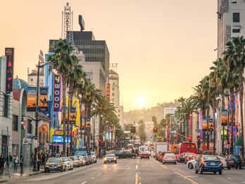 Hollywood: Cannabis-Tour Hollywood: Cannabis-Tour