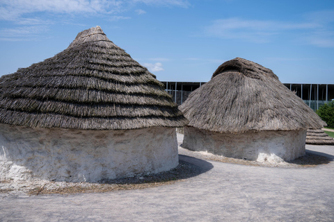 Tour privato di un giorno di lusso a Stonehenge e Bath da Oxford