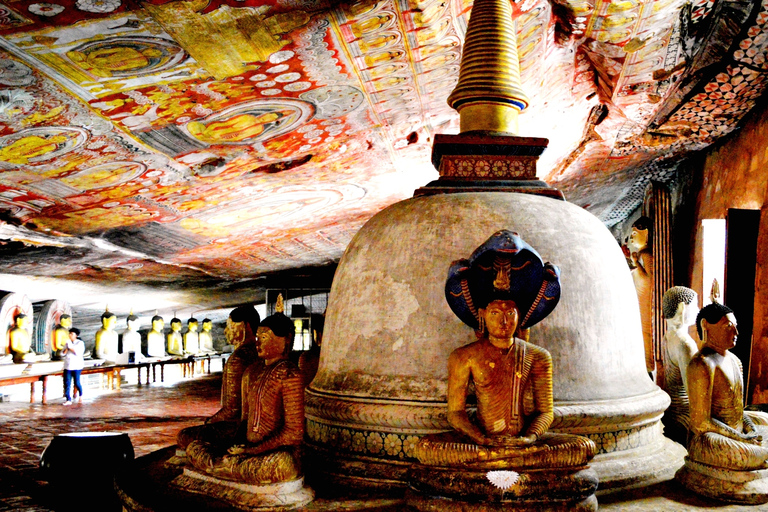 From Negombo: Sigiriya and Dambulla Day Trip From Negombo: Sigiriya and Dambulla Private Day Trip