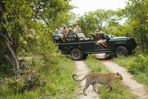 Day Tour to Wilpattu National Park from Negombo