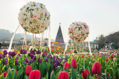 Everland Admission Ticket with Transfer and Tour Guide Everland - Dongdaemun History & Culture Park Station 9:10am