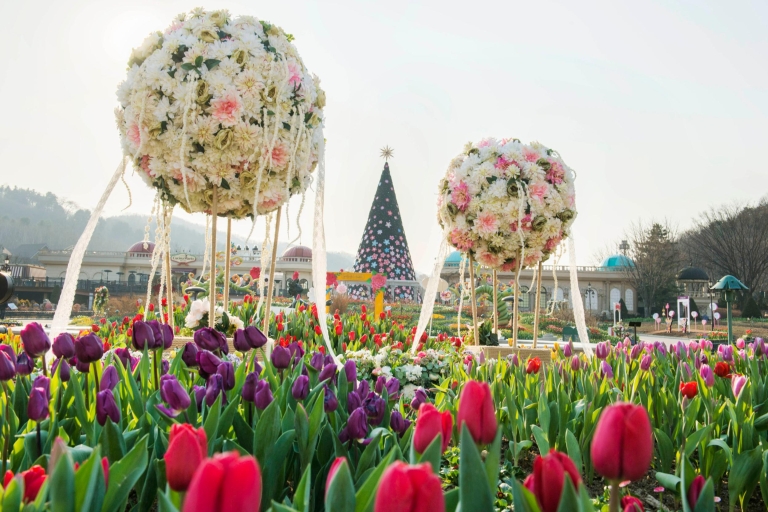 Everland Admission Ticket with Transfer and Tour Guide Everland Transfer - Hongik University Station 8:20am