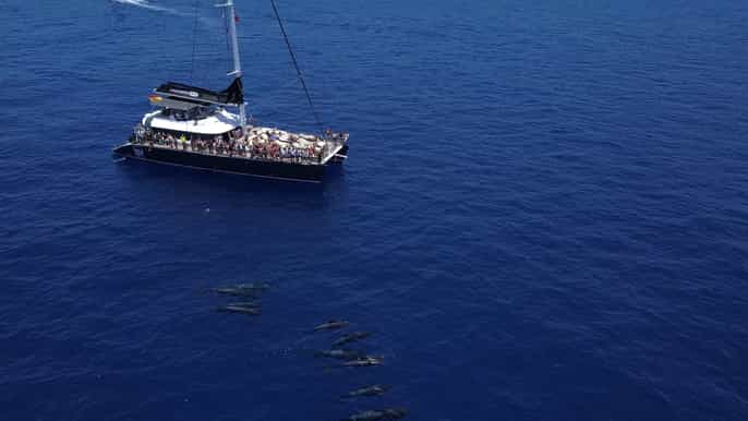 Costa Adeje: tour de avistamiento de ballenas con aperitivos