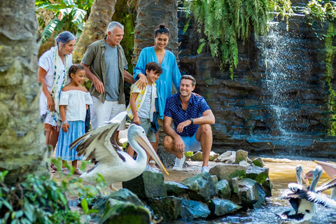 Bali Half Day: Bird Park & Ancient Temple