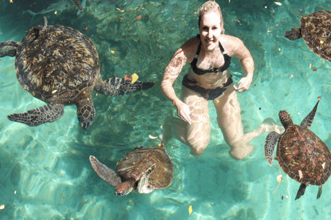 Zanzibar aquarium om te zwemmen met zeeschildpadden