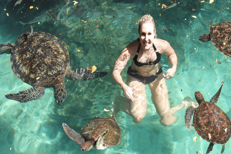 Zanzibar aquarium om te zwemmen met zeeschildpadden