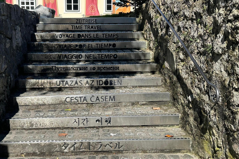 Vienne : excursion d&#039;une journée à Hallstatt, Salzkammergut avec option Mine