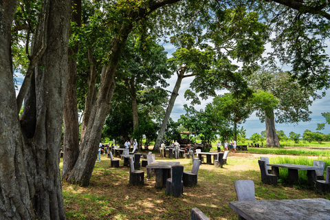 From Zanzibar: Best Day Safari Mikumi with flights and lunch