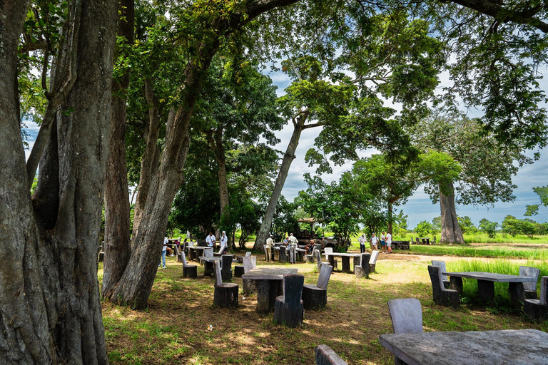 From Zanzibar: Best Day Safari Mikumi with flights and lunch