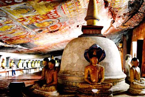From Negombo: Dambulla Caves & Kaudulla National Park Safari